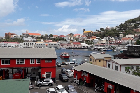 Grenada: Private Sightseeing-Tour mit dem Taxi2-stündige Privatführung auf Englisch