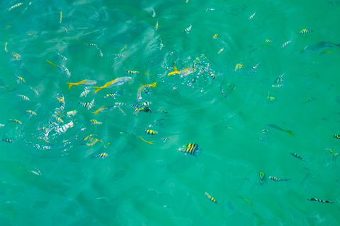 Ang Thong: Marine Park Full-Day Kayaking & Snorkeling Tour