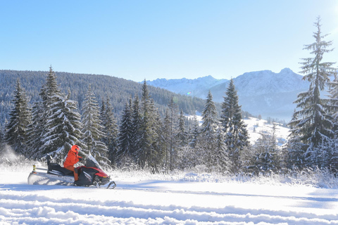 Zakopane: Wyprawa na skuterach śnieżnych i opcjonalne ognisko1-godzinna wycieczka – jednoosobowy skuter śnieżny