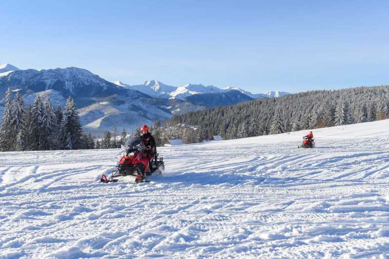 Zakopane: Snowmobiles Expedition and Optional Bonfire