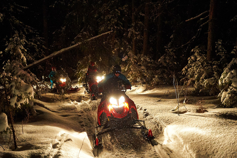 Zakopane: Snowmobiles Expedition and Optional Bonfire 1-Hour Tour - Single snowmobile