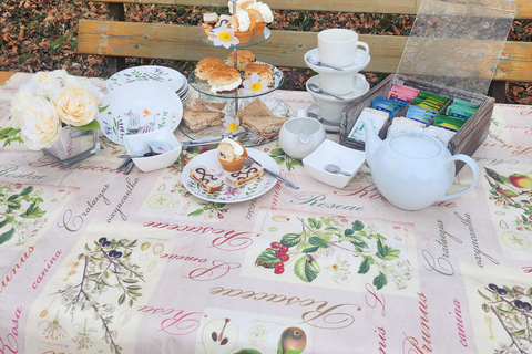 Promenade en calèche et thé à la crème dans l'après-midiCalèche ridel