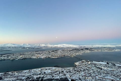 Tromso: Sightseeing Cruise by Catamaran with Snacks & Drinks