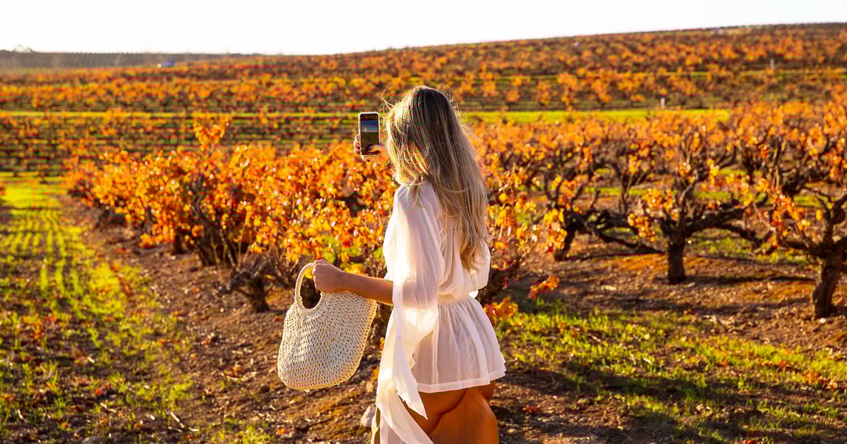 McLaren Vale Wine Tour GetYourGuide