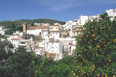 De Marbella: Axarquia Wine Tour com almoço de harmonização de vinhos