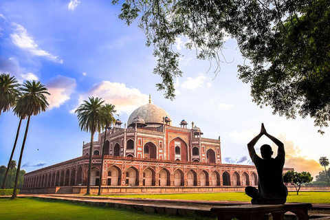 Delhi Full Day Private Day Tour