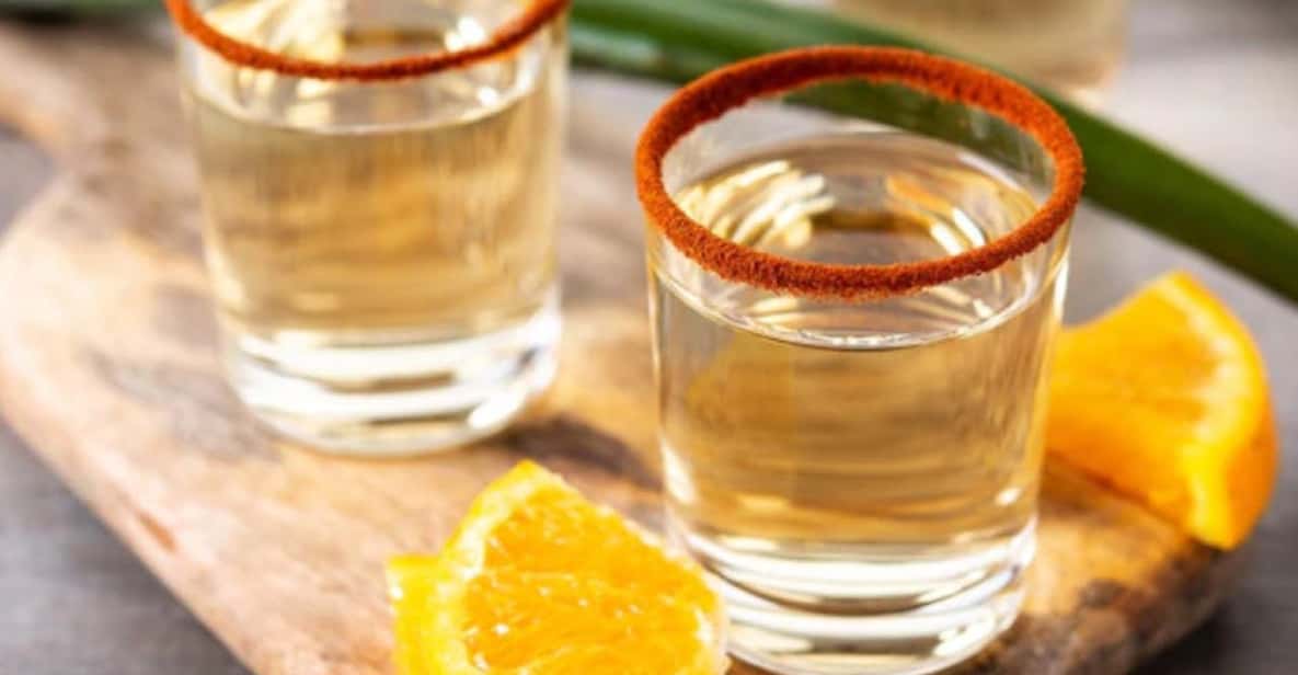 Ensenada Mezcal, Tequila, & Ceviches Guided Tasting Tour GetYourGuide