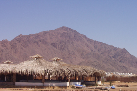 Hurghada: viagem de safári no deserto de quadriciclo