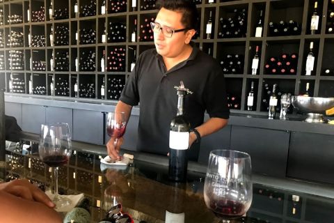 Ensenada: Wine Tasting Tour in Valle de Guadalupe