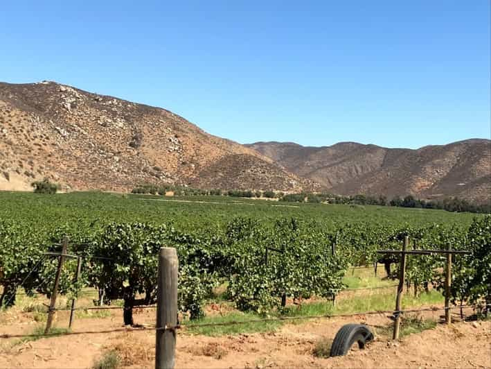 tour ensenada valle de guadalupe