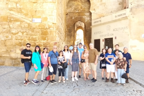 From Seville: Full-Day Tour of Córdoba and Carmona Shared Tour