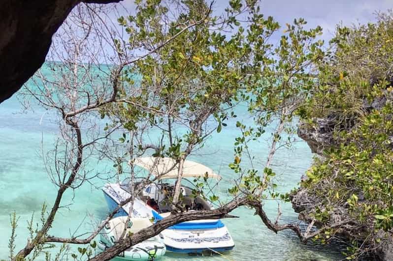 Providenciales Excursión Privada de Playa en Playa GetYourGuide