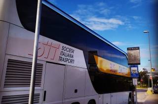 Civitavecchia: Transfer nach Rom & Hop-On/Hop-Off-Bus Ticket