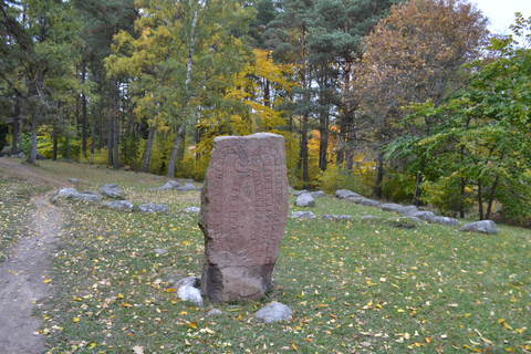 Från Stockholm: Uppsala och Sigtuna Viking Sites TourFrån Stockholm: Rundresa till Uppsala och Sigtuna vikingastäder