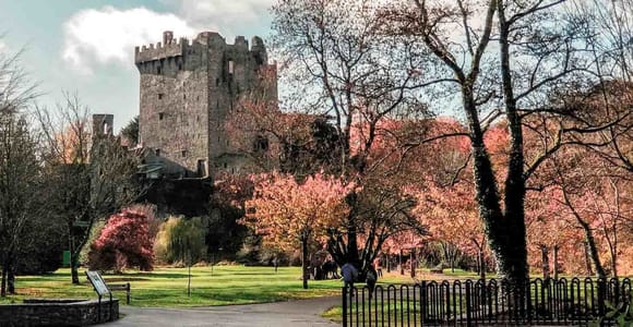 Von Cork aus: County Cork Highlights Tour mit Eintrittskarten