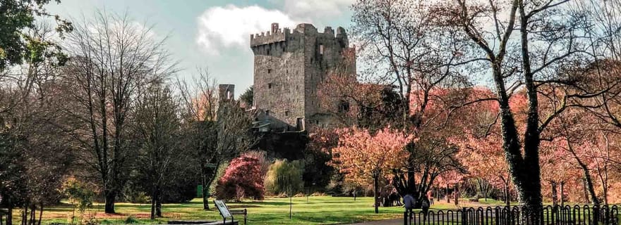 Au départ de Cork : Visite des hauts lieux du comté de Cork avec billets d'entrée