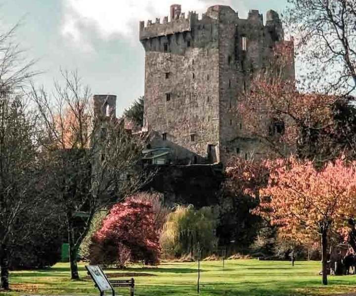 From Cork: County Cork Highlights Tour with Entrance Tickets