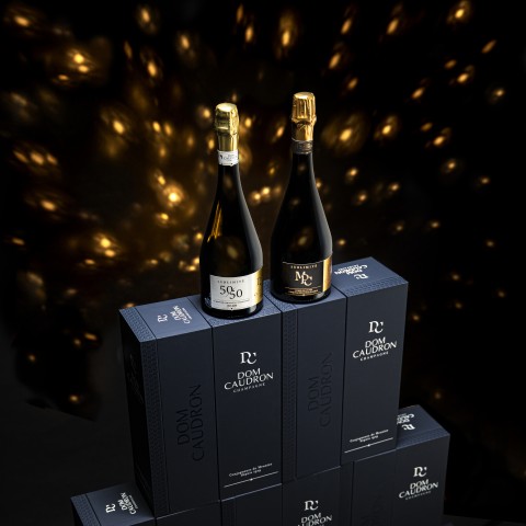 Visit Champagne Dom Caudron Expérience Prestige - Tour en français in Château-Thierry