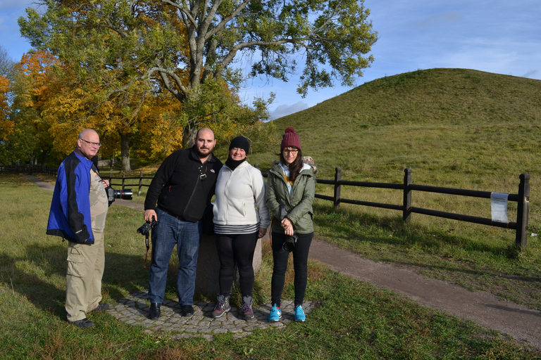 Antiguos yacimientos vikingos: Visita en grupo reducido a Uppsala y SigtunaExcursión en vikingo de día completo con pausa para café sueco Fika