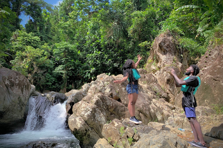 San Juan: El Yunque Rainforest en Bio Bay Combo Tour