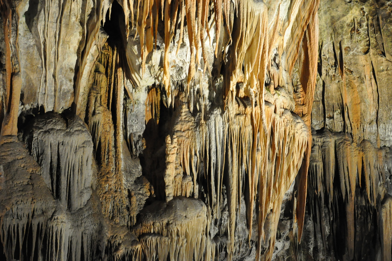 Depuis Ljubljana : grotte de Postojna et château de Predjama