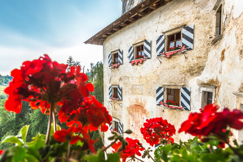 Depuis Ljubljana : grotte de Postojna et château de Predjama