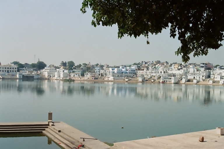 Z Jaipur: Prywatna jednodniowa wycieczka do świątyni Brahmy i jeziora Pushkar