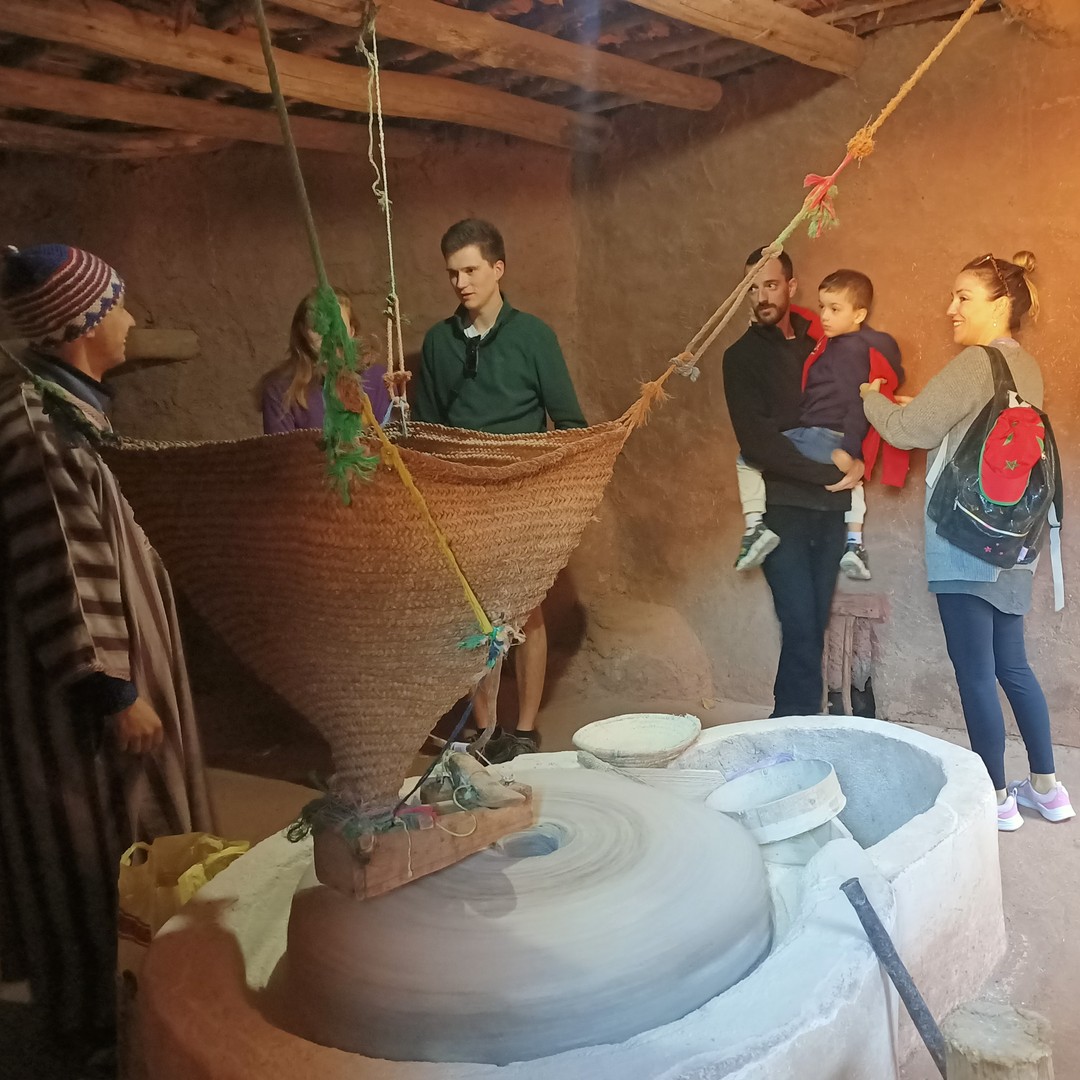Excursion d'une journée dans la vallée de l'Ourika, Atlas, cascade et déjeuner