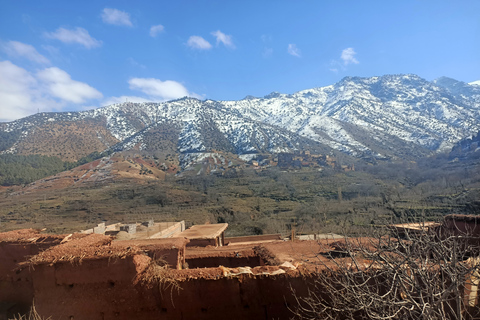 Atlas Mountains and Three Valleys & Berber Villages