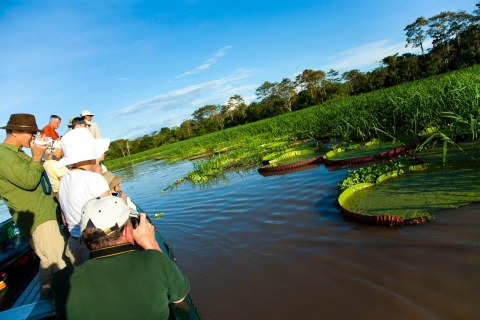 Iquitos: 2 Days and 1 Night Guided Amazon Jungle Tour Amazon Jungle Tour with Accommodation Pickup
