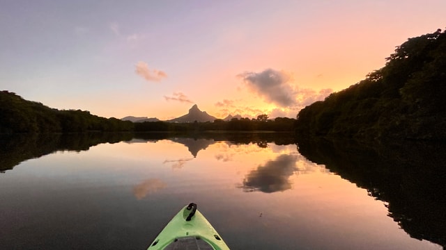 Mauritius: Guided Sunrise Kayak Tour on the Tamarin River