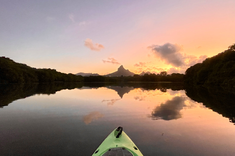 Mauricio: Excursión guiada en kayak al amanecer por el río Tamarin