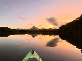 Mauricio: Excursión guiada en kayak al amanecer por el río Tamarin