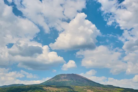 Pompeya: Billete de ida y vuelta en autobús al Parque Nacional del Vesuvio