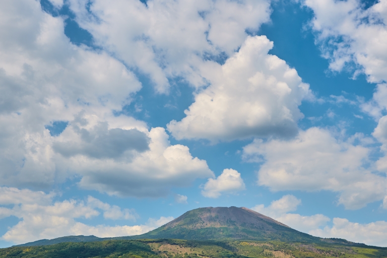 Pompei: retourbusticket Vesuvio National Park