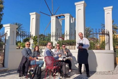 Rhodes: visite guidée et dégustation de vin dans la ville médiévalePromenade privée guidée et dégustation de vin