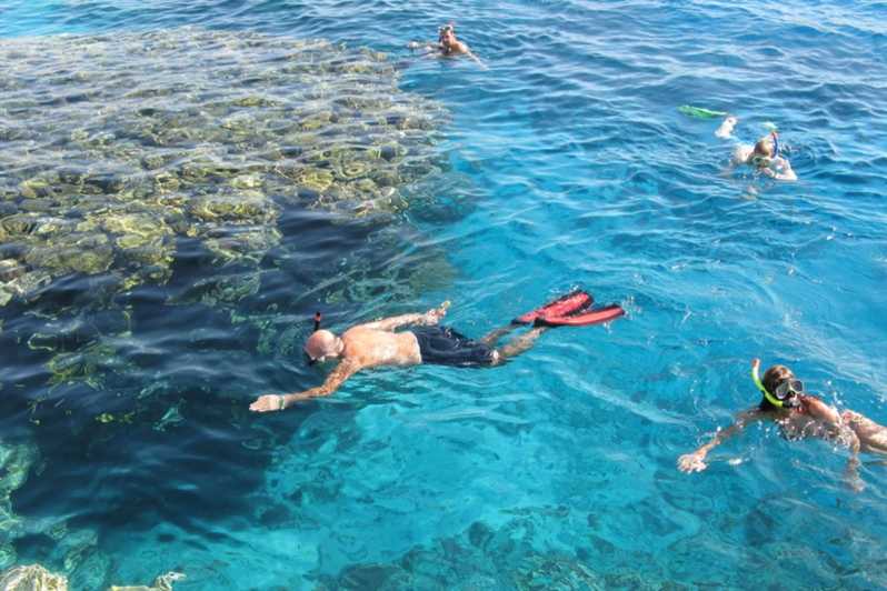 From Hurghada: Snorkeling Adventure at Mahmya Island | GetYourGuide