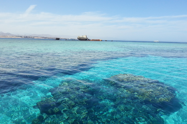 Da Hurghada: viaggio subacqueo con 2 immersioni