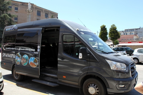 Pompeje: bilet autobusowy w obie strony do Parku Narodowego Wezuwiusza