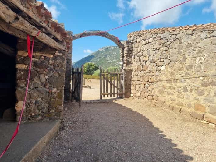 Da Tortolì: Tour guidato dell'Altopiano del Golgo in SUV