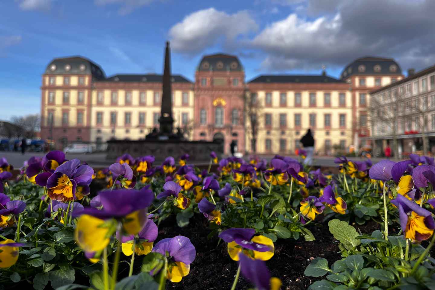 Darmstadt: City Highlights and History Guided Walking Tour