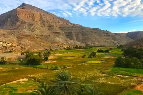 From Khasab: Snorkeling and Jebel Harim Mountain Tour