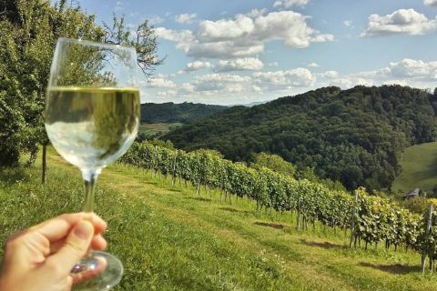 Zagreb: Plesivica Hills and Samobor Tour with Wine Tasting