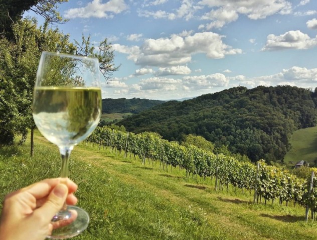 Visit Zagreb Plesivica Hills and Samobor Tour with Wine Tasting in Samobor, Croatia
