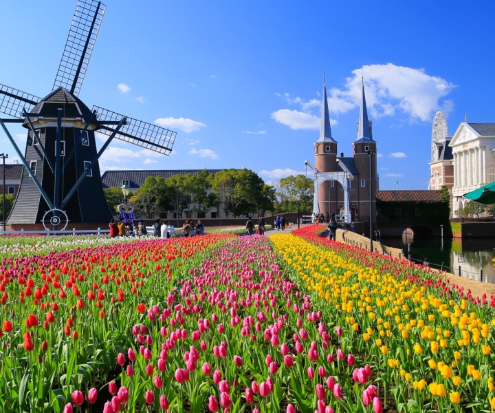 Fukuoka: Huis Ten Bosch Theme Park Ticket with Transfers
