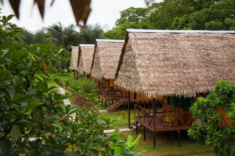 Iquitos: 3 Tage und 2 Nächte geführte Amazonas-Dschungel-Tour3 Tage 2 Nächte Amazon Jungle Tour mit Abholung vom Flughafen