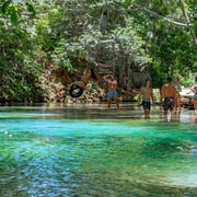 Dukes Rios Ocho Rios: Dunn’s River Falls & Reggae Hill Tour | GetYourGuide