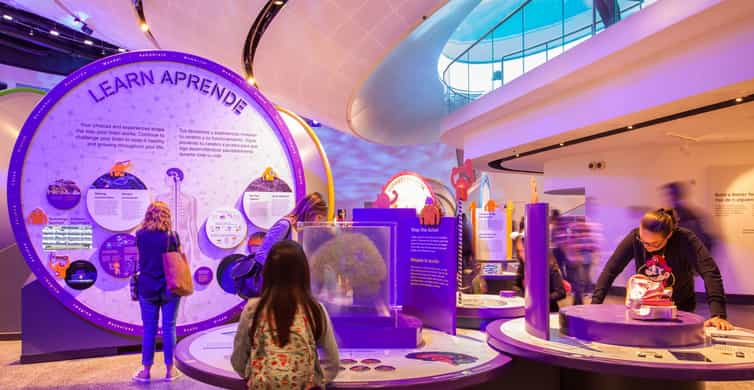 Miami: Frost Museum of Science and Planetarium Entry Ticket photo 12