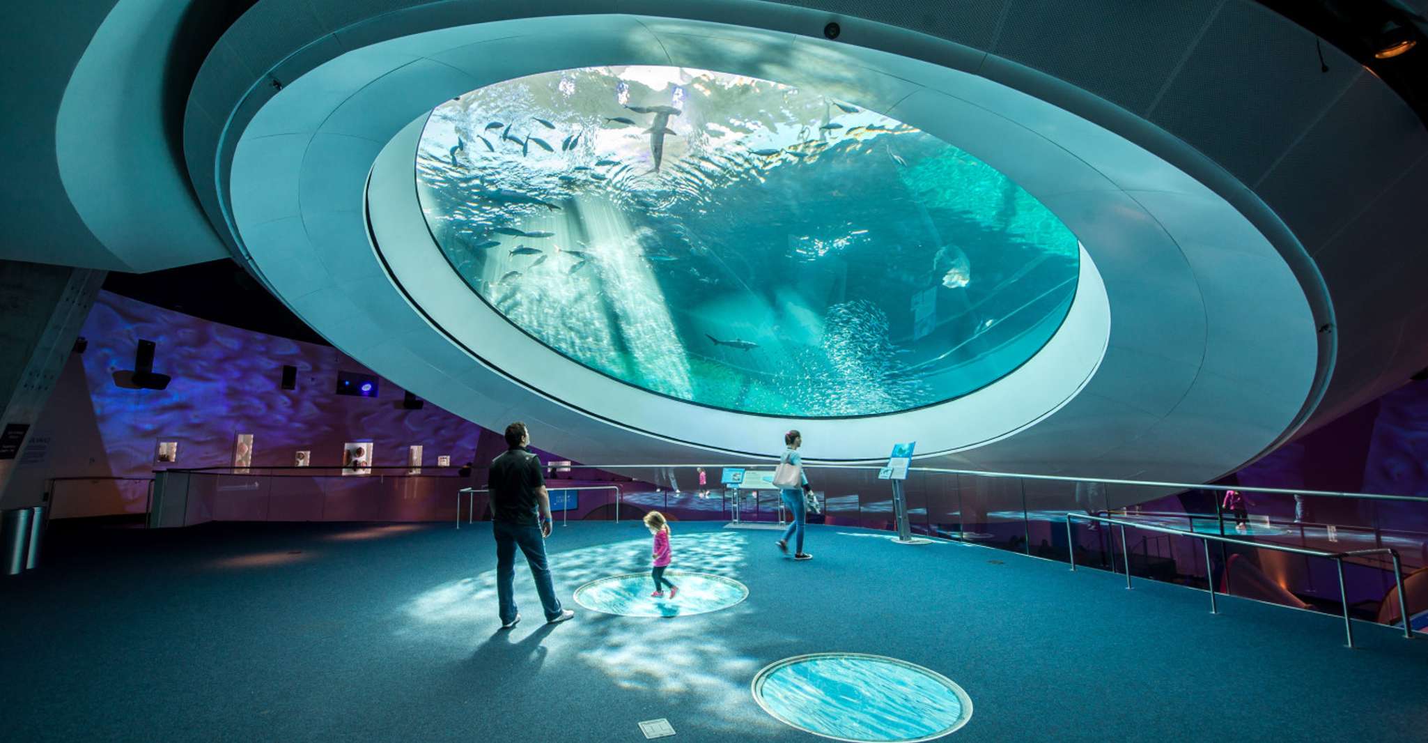 Miami: Frost Museum of Science and Planetarium Entry Ticket photo 17