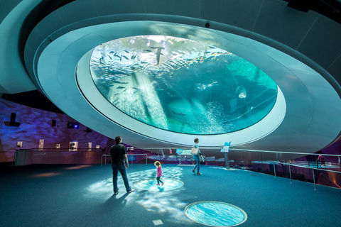 Miami: Biglietto d&#039;ingresso per il Frost Museum of Science and Planetarium